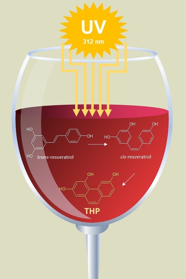 fodspor Tage en risiko fyrretræ 2,4,6-trihydroxyphenanthrene: a new trans-resveratrol derivative detected  in red wine after UV irradiation. – Science & Wine