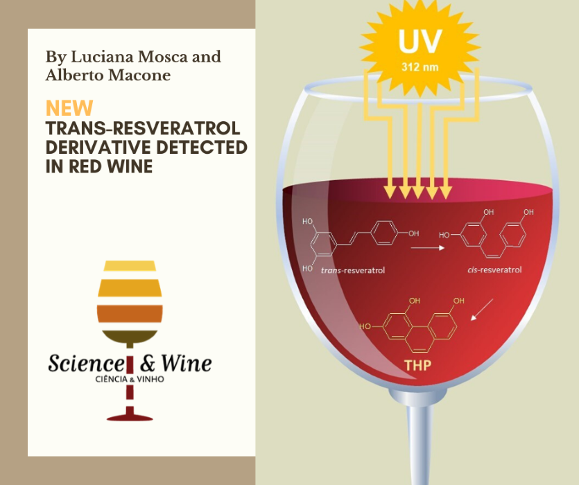 2,4,6-trihydroxyphenanthrene: a new detected in red wine UV irradiation. – Science & Wine