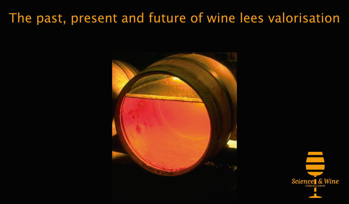 The past, present and future of wine lees valorisation – Science & Wine