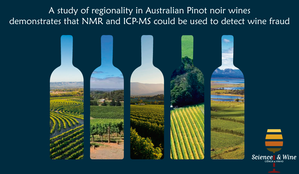Dare illoyalitet formel A study of regionality in Australian Pinot noir wines demonstrates that NMR  and ICP-MS could be used to detect wine fraud – Science & Wine